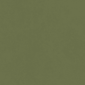 Vibrant Forest Green