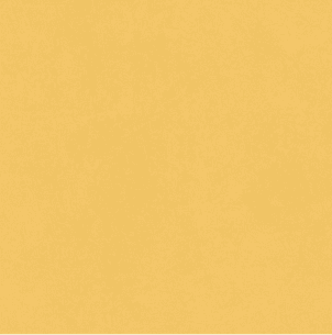 Vibrant Mustard